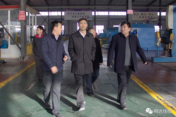 省市场监管局局长金洪钧调研云顶国际官网