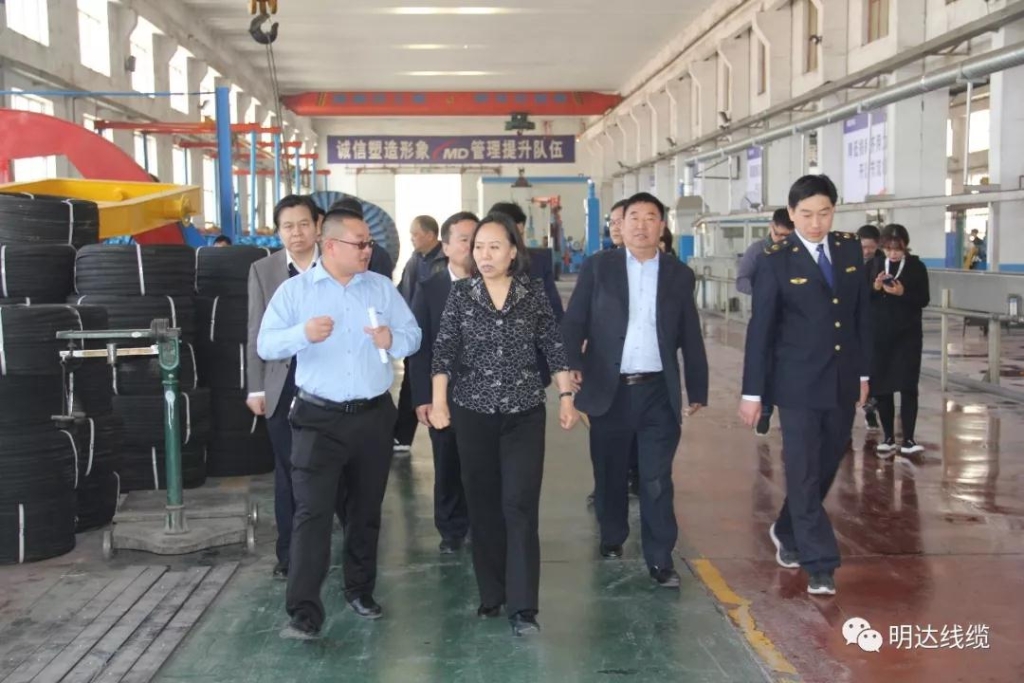 河北省市场监管局党组书记丁锦霞莅临云顶国际官网考察调研